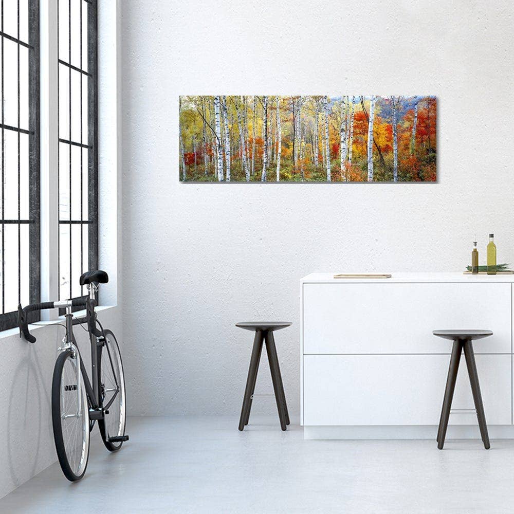 Photography Trees Stylish Canvas Art By Panoramic Images